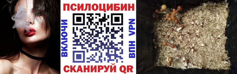 МЕГА ONION  Поворино  Галлюциногенные грибы ЛСД 